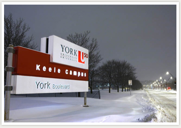 York University In Canada