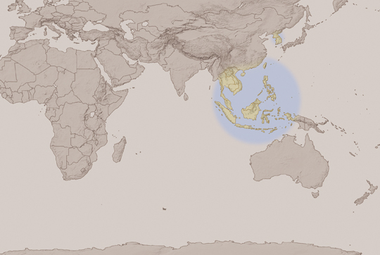 Moving toward a Korea- <font color='red'>Southeast</font> <font color='red'>Asia</font> Partnership