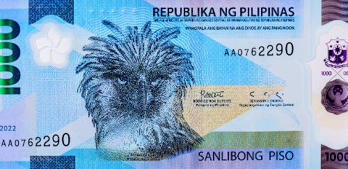 The <font color='red'>Philippine</font> Eagle, National Bird of the Philippines