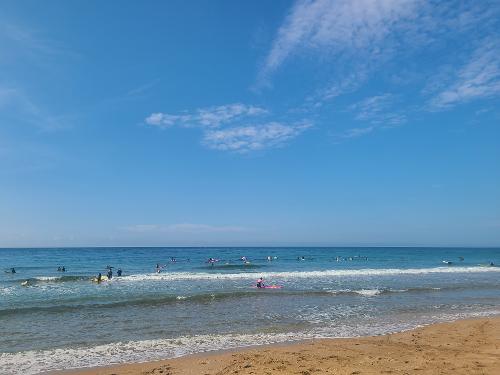 [Jeju Playbook] <font color='red'>Surfing</font> Life in Jeju