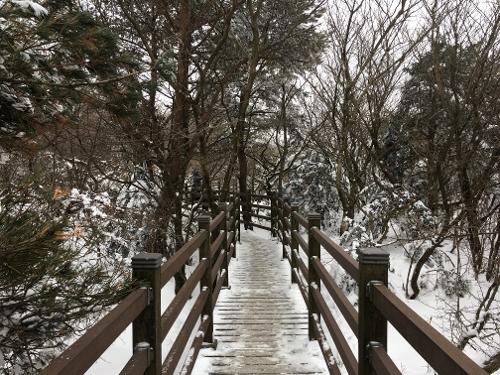 [Jeju Playbook] Wintering in Jeju