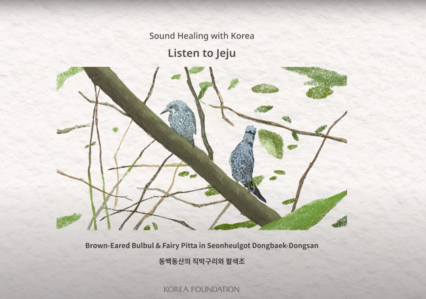 [ASMR] 2021 Sound <font color='red'>Healing</font> with Korea - Listen to Jeju | 1. Brown-Eared Bulbul & Fairy Pitta