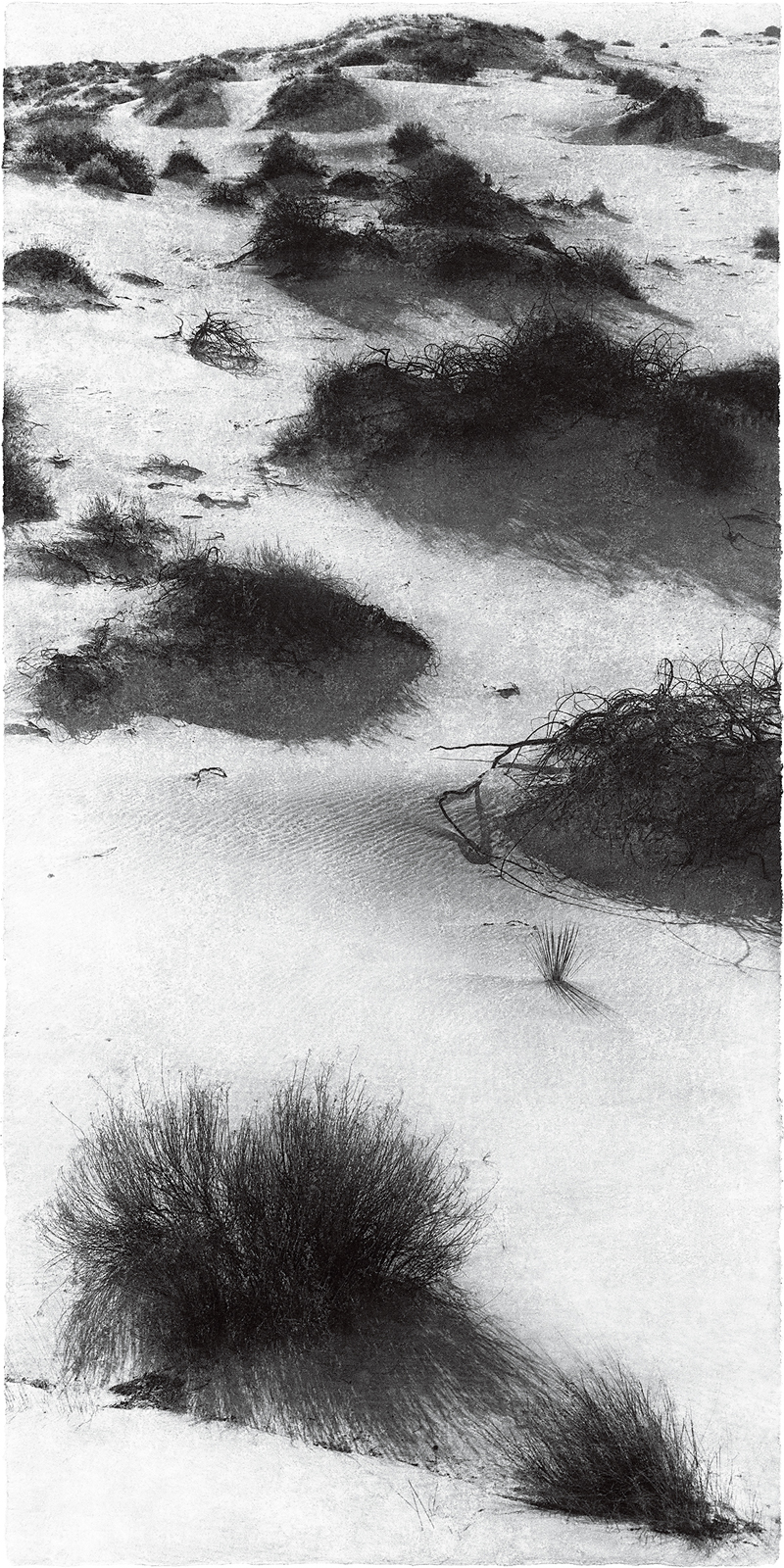 예술 언어가 된 한지