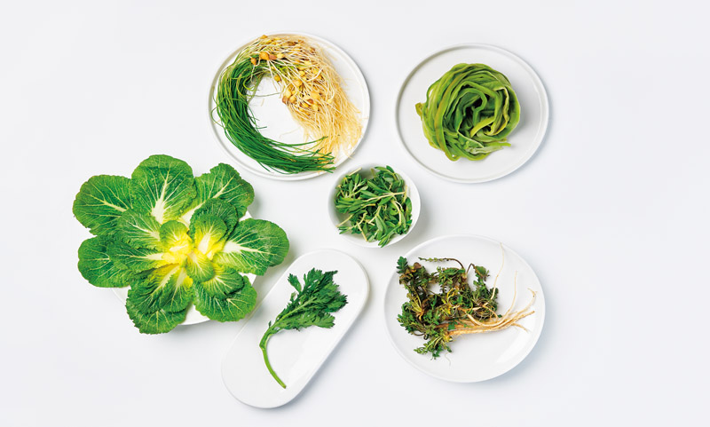 춘궁기의 생존 음식, 봄나물