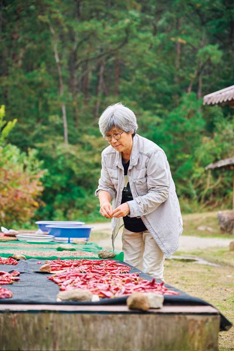 토종 씨앗이 펼쳐내는 세계